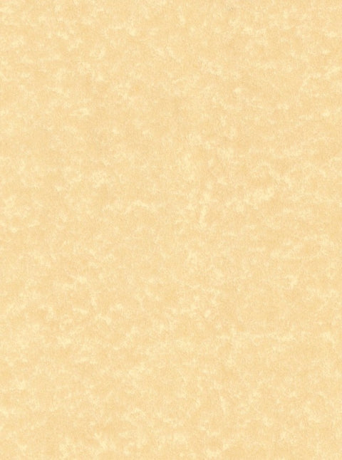 Buttercream Parchment Paper A4