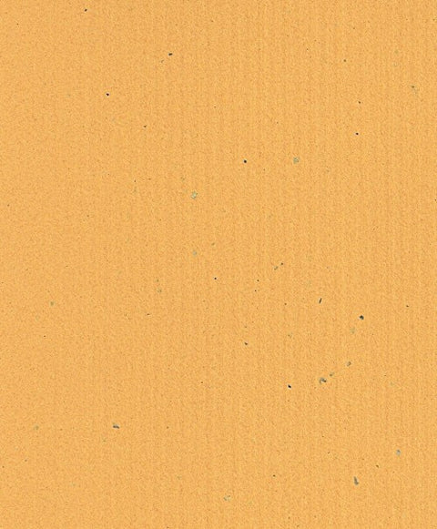 Pumpkin Flecked Cardstock 8.5x11 inch