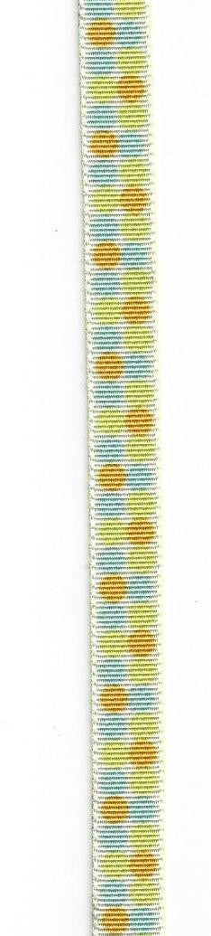 Lime, Blue and Orange Dots Ribbon